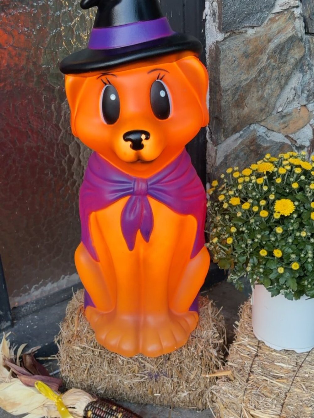 Cracker Barrel Witch Dog Blow Mold